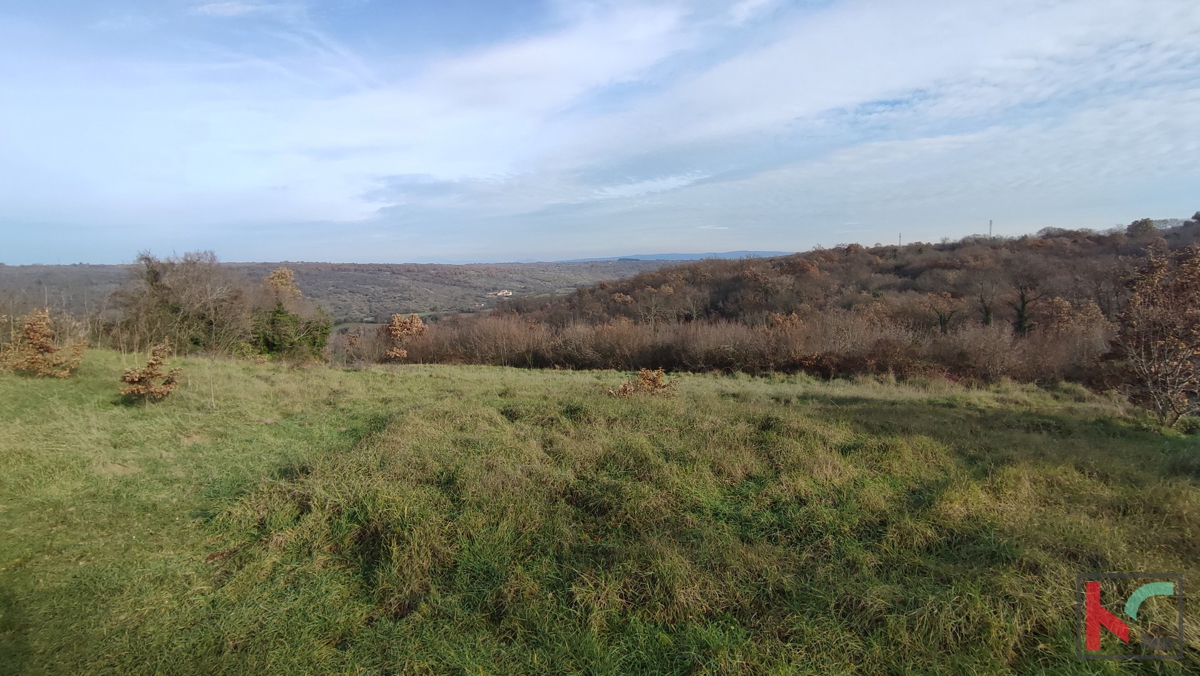 Istra, Mutvoran, kmetijsko zemljišče 12000 m2 z objektom v bližini Duge Uvale, #prodaja