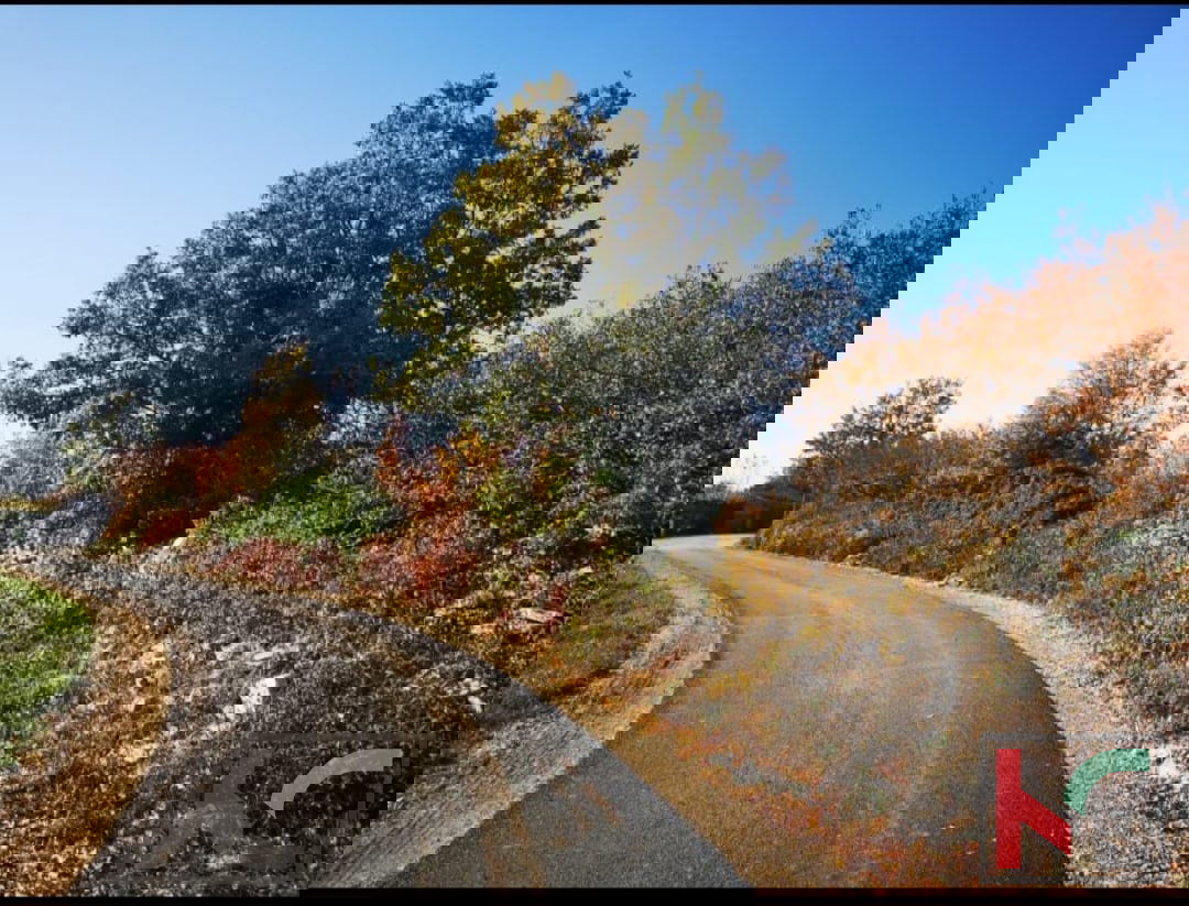 Filipana, zazidljivo zemljišče s plačano komunalo in projektom 497 m2 #prodaja