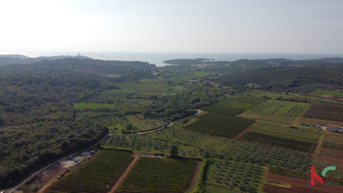 Rovinj, kmetijsko zemljišče z oljčnim nasadom, vinogradom in legaliziranim objektom #prodaja