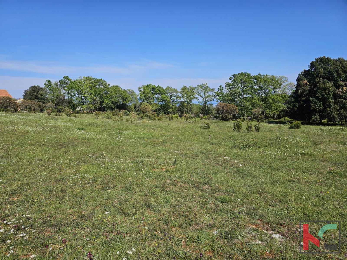 Istra, Peruški, prodamo zemljišče kmetijske namene 1002m2