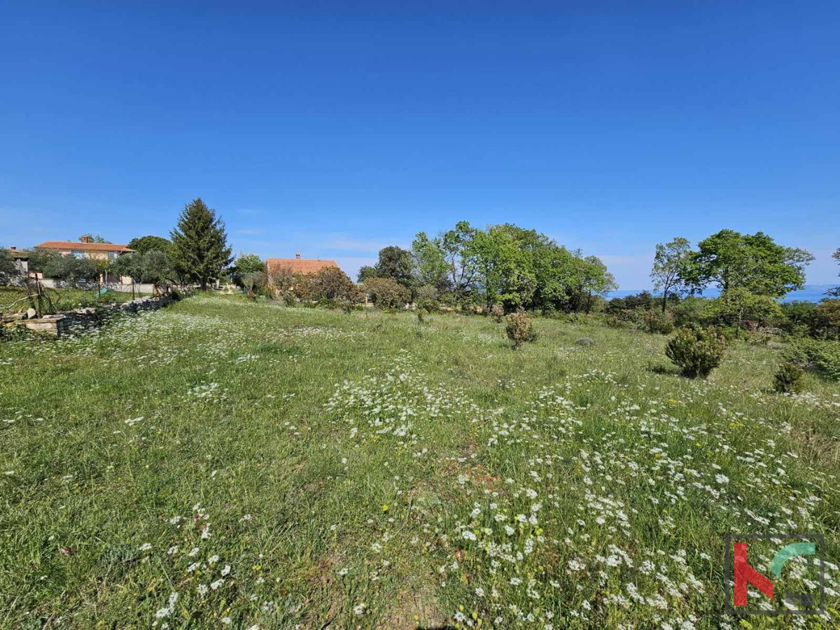 Istra, Peruški, prodamo zemljišče kmetijske namene 1002m2