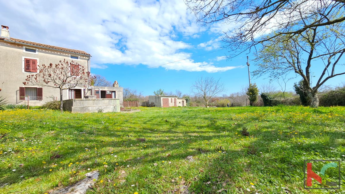 Istra, Barban, stara istrska kamnita hiša s skednjem na velikem vrtu, #prodaja