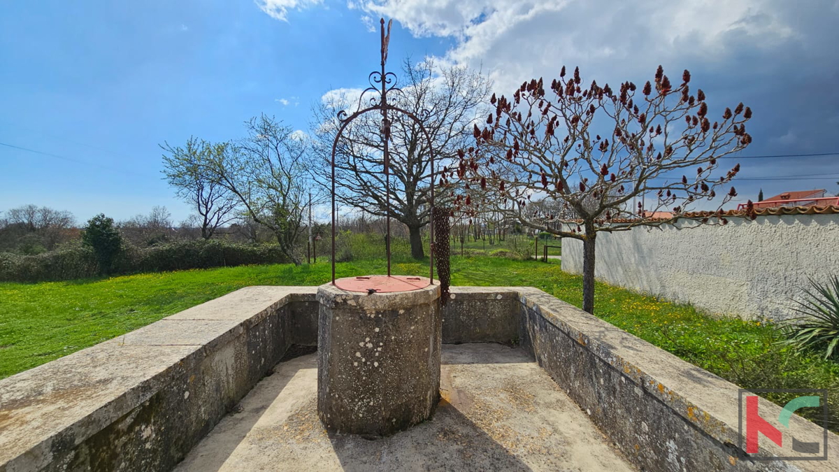 Istra, Barban, stara istrska kamnita hiša s skednjem na velikem vrtu, #prodaja