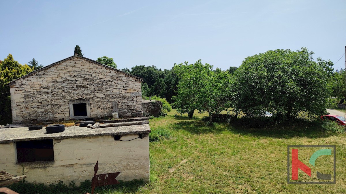 Istra, Svetvinčenat, dve istrski avtohtoni kamniti hiši z vrtom, #prodaja