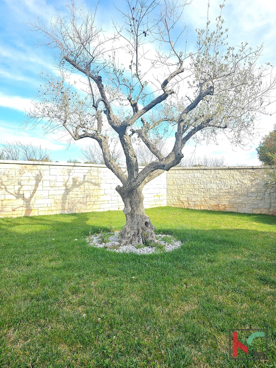 Istra, Višnjan, moderna hiša z bazenom in vrtom, 4 ss, #prodaja