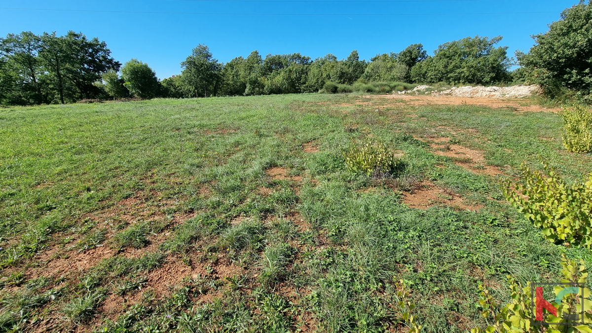 Istra, Divšići, Zazidljivo zemljišče 961m2 - mirna lokacija