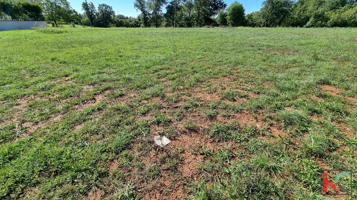 Istra, Divšići, Zazidljivo zemljišče 961m2 - mirna lokacija