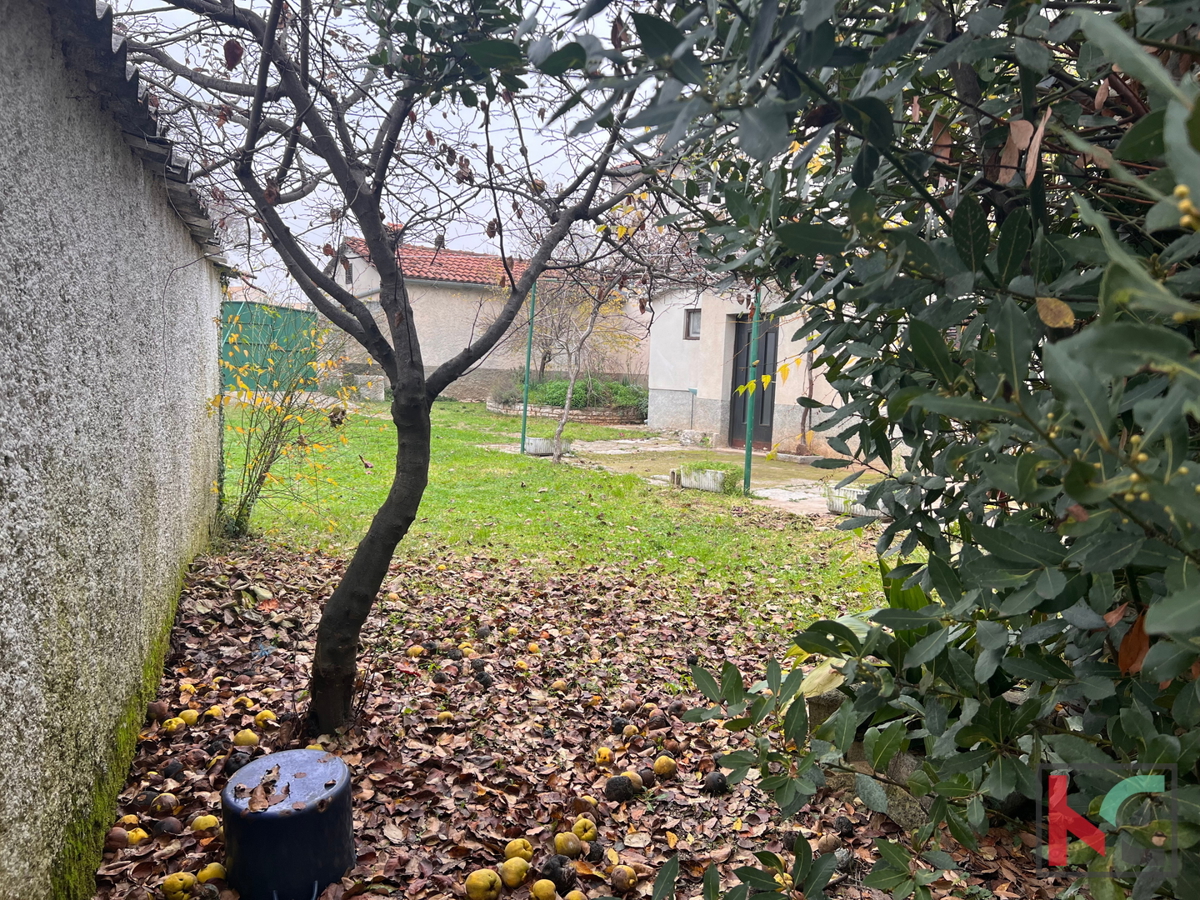 Istra, Svetvinčenat, Hiša, 136 m2 s potencialom na lepi parceli #prodaja