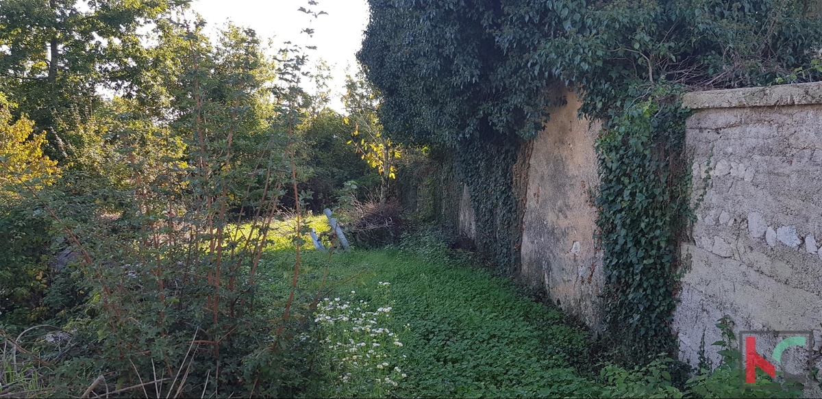 Gračišće, Lančišće stara istrska hiša 300m2 vrt 1353m2 stavbno in 5500m2 kmetijsko zemljišče, #prodaja