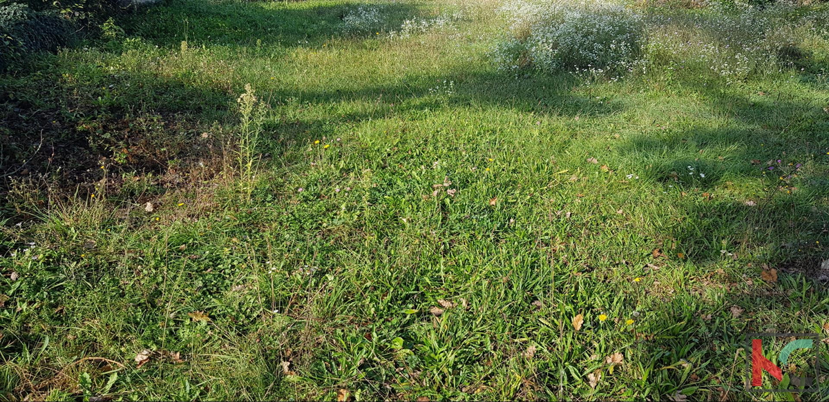 Gračišće, Lančišće stara istrska hiša 300m2 vrt 1353m2 stavbno in 5500m2 kmetijsko zemljišče, #prodaja
