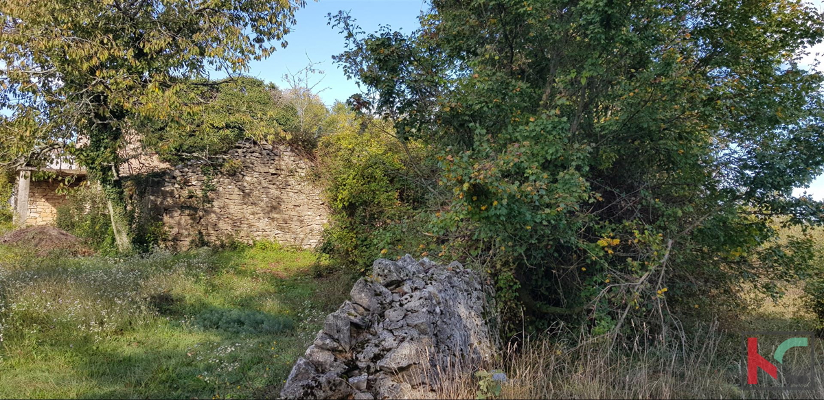 Gračišće, Lančišće stara istrska hiša 300m2 vrt 1353m2 stavbno in 5500m2 kmetijsko zemljišče, #prodaja