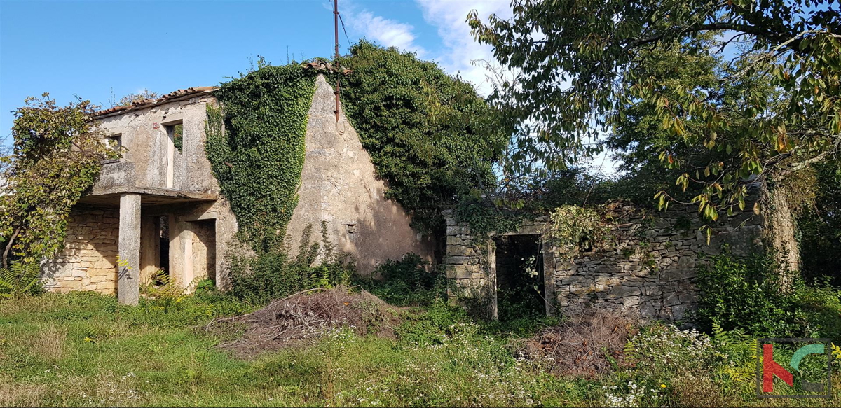 Gračišće, Lančišće stara istrska hiša 300m2 vrt 1353m2 stavbno in 5500m2 kmetijsko zemljišče, #prodaja