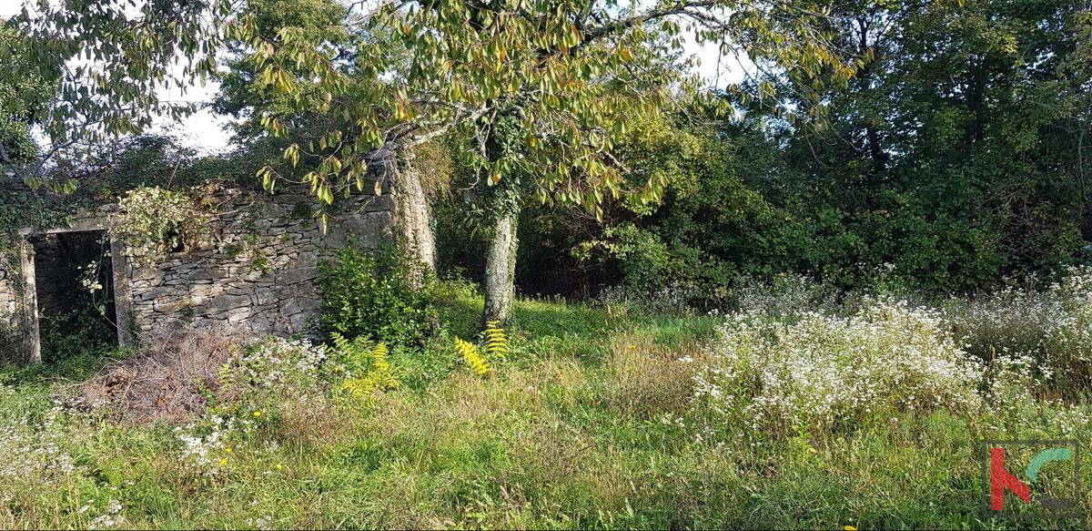 Gračišće, Lančišće stara istrska hiša 300m2 vrt 1353m2 stavbno in 5500m2 kmetijsko zemljišče, #prodaja
