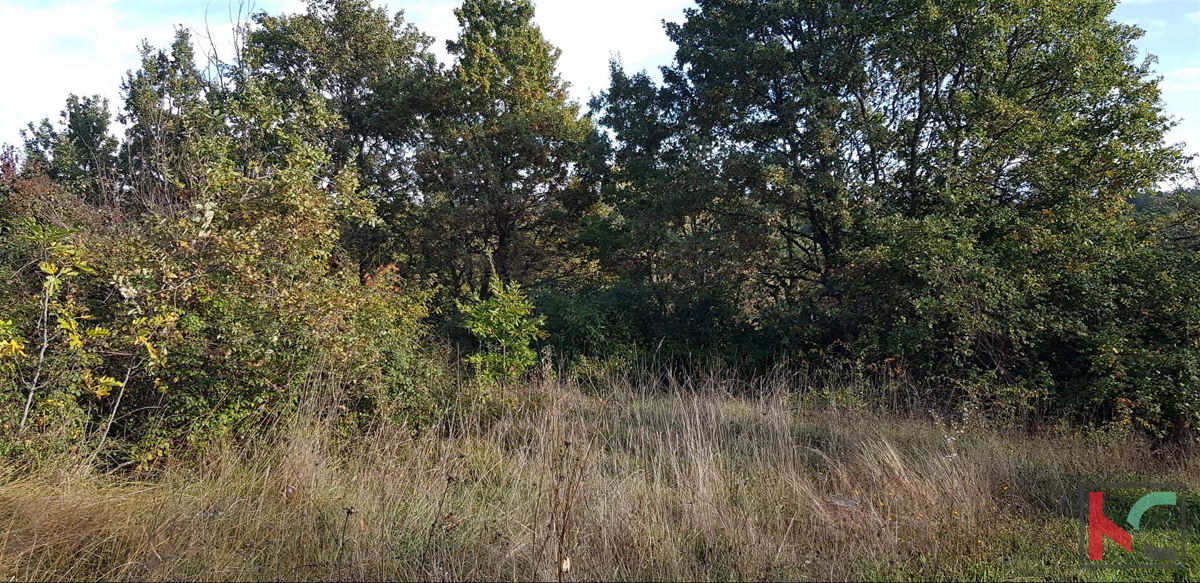 Gračišće, Lančišće stara istrska hiša 300m2 vrt 1353m2 stavbno in 5500m2 kmetijsko zemljišče, #prodaja