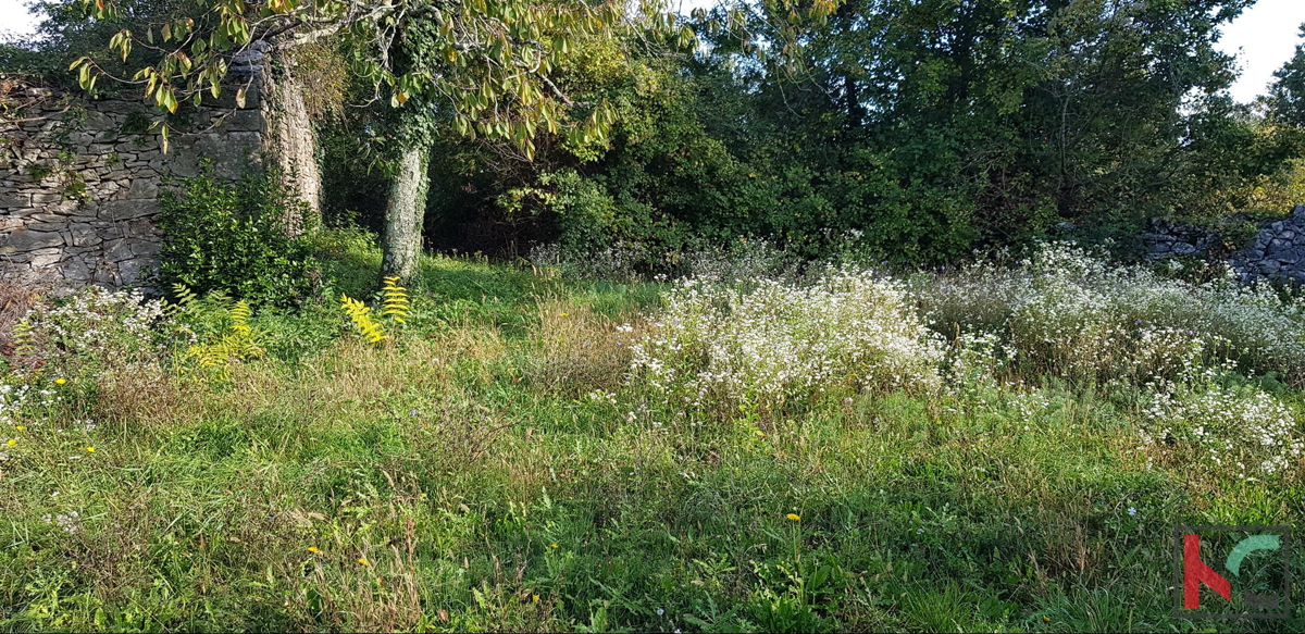 Gračišće, Lančišće stara istrska hiša 300m2 vrt 1353m2 stavbno in 5500m2 kmetijsko zemljišče, #prodaja