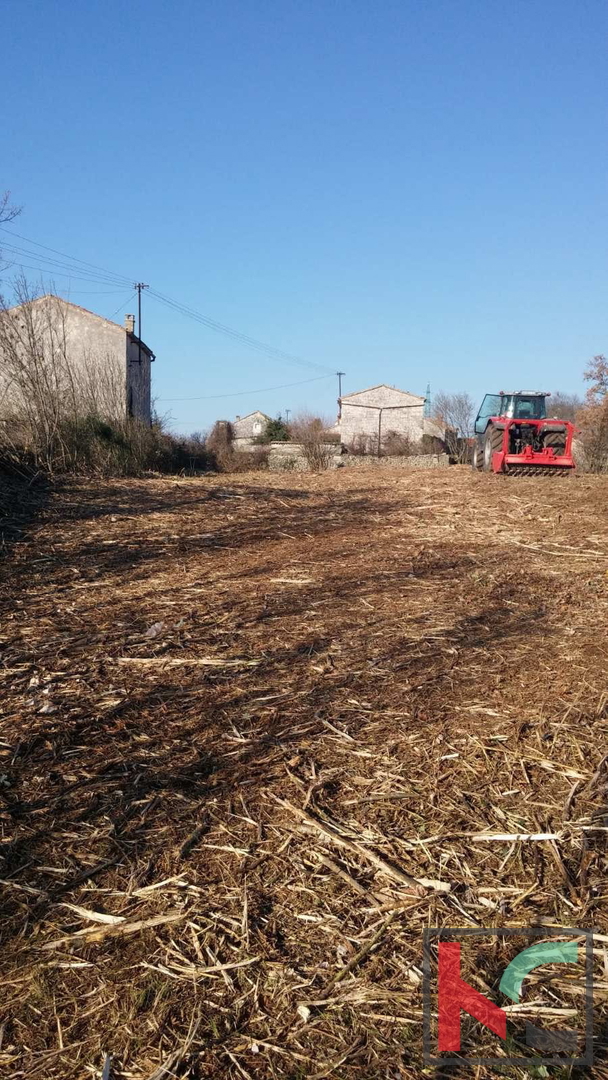 Istra, Občina Svetvinčenat, gradbeno zemljišče 1920m2 #prodaja