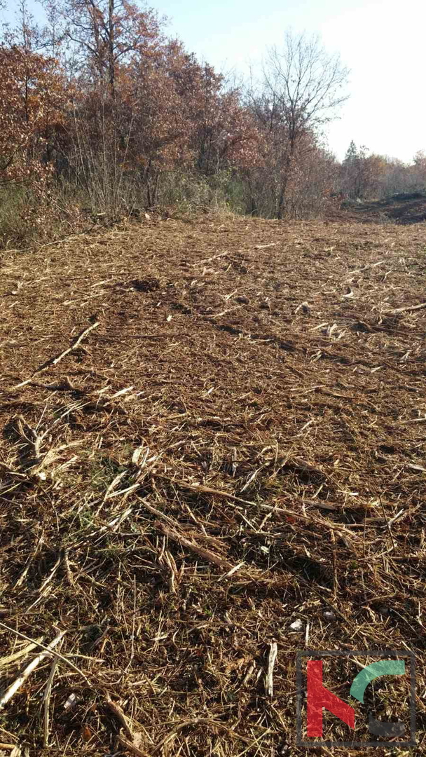 Istra, Občina Svetvinčenat, gradbeno zemljišče 1920m2 #prodaja