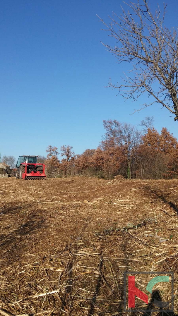 Istra, Občina Svetvinčenat, gradbeno zemljišče 1920m2 #prodaja