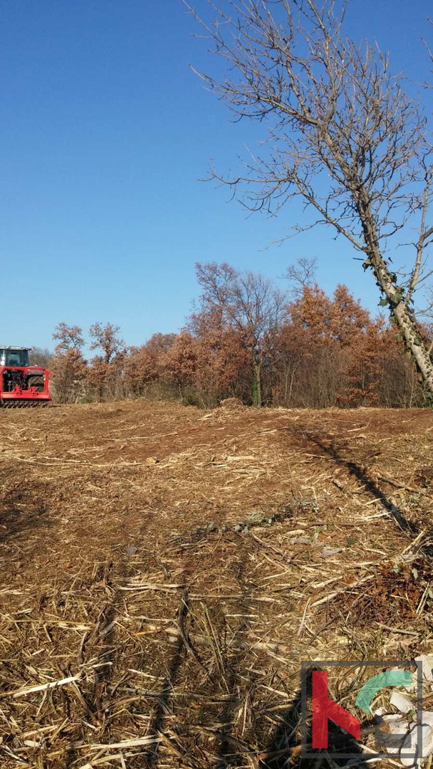 Istra, Občina Svetvinčenat, gradbeno zemljišče 1920m2 #prodaja