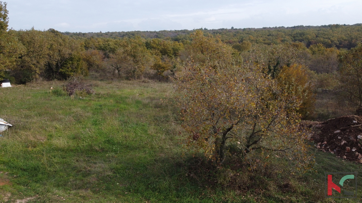 Istra, Vodnjan, gradbeno zemljišče 1002m2, #prodaja