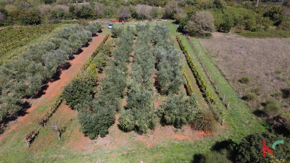 ISTRA, MARČANA, ZEMLJIŠČE 2507 M2 KOMBINIRANO GRADBENIŠKO Z NEUREJENO GRADBENO OBMOČJE, PRODAJA