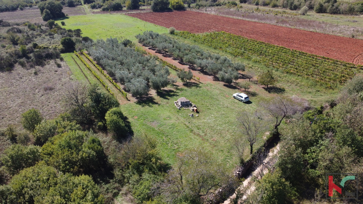 ISTRA, MARČANA, ZEMLJIŠČE 2507 M2 KOMBINIRANO GRADBENIŠKO Z NEUREJENO GRADBENO OBMOČJE, PRODAJA