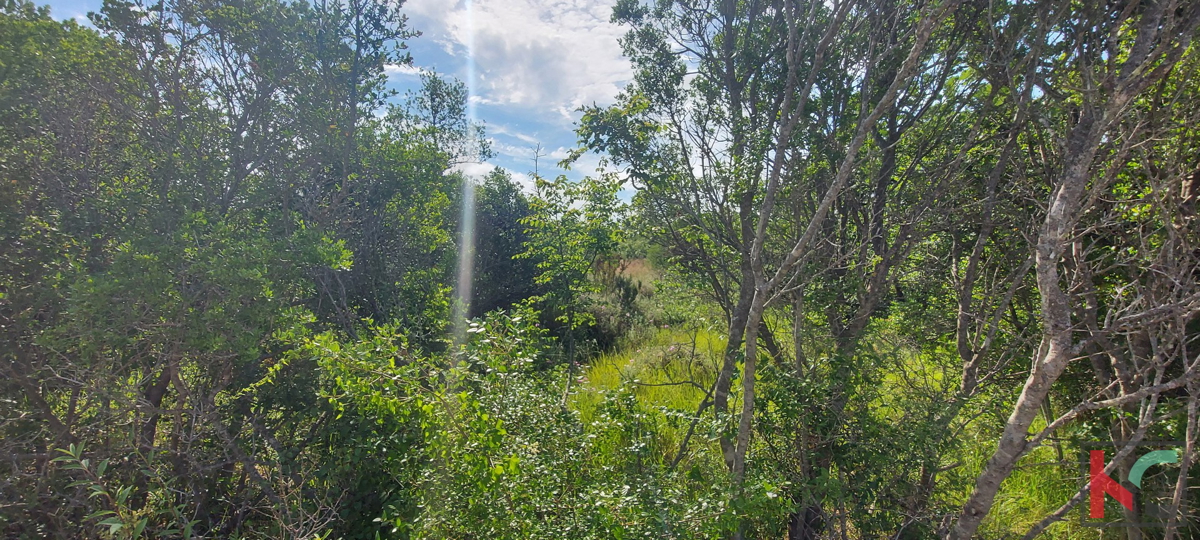 Vodnjan, kmetijsko zemljišče 18357m2