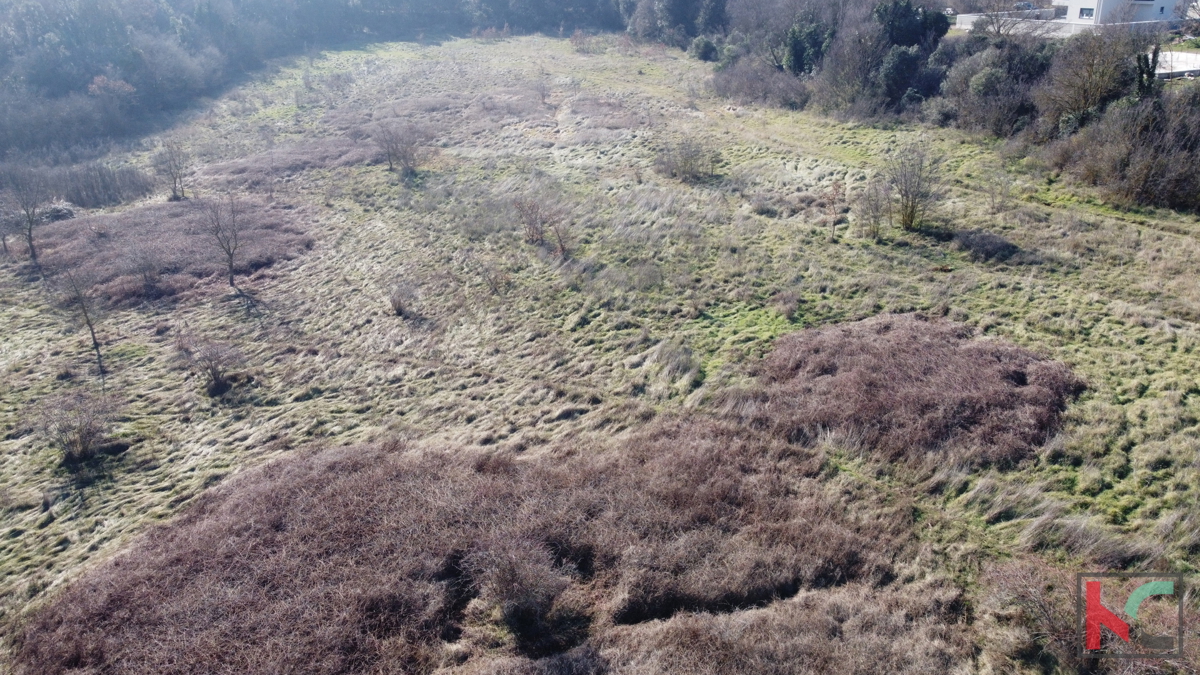 Istra - Pulj, atraktivno zemljišče 18.800m2, #prodaja