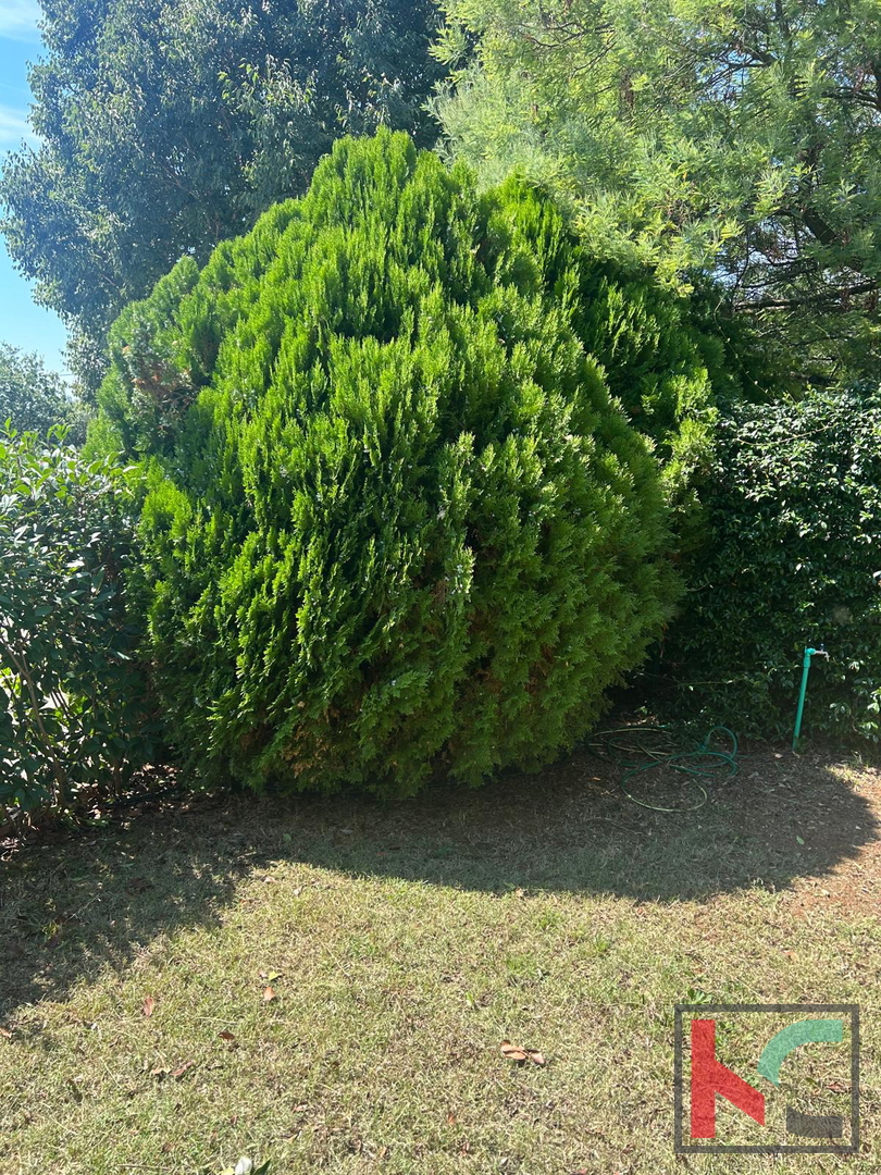 Rovinj,stanovanje 1s+db 37,30 m2 #prodaja