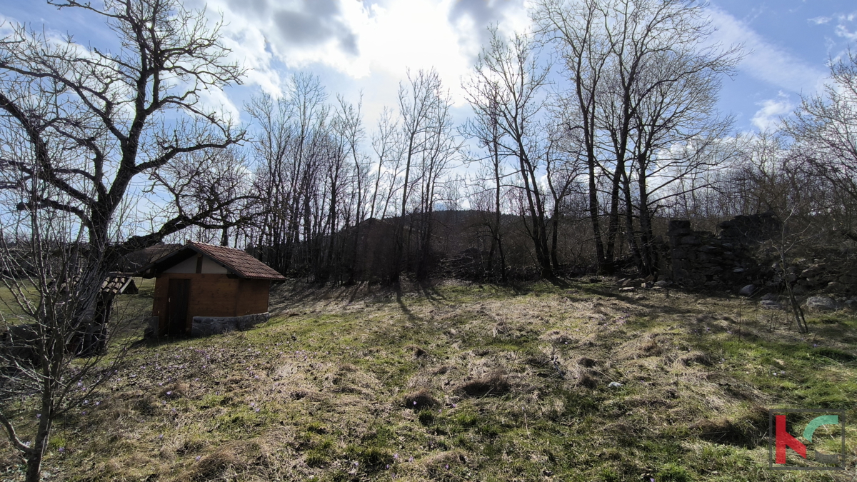 ISTRA, LANIŠĆE, RENOVIRANA HIŠA NA OBRONCIH ĆIĆARIJE #PRODAJA