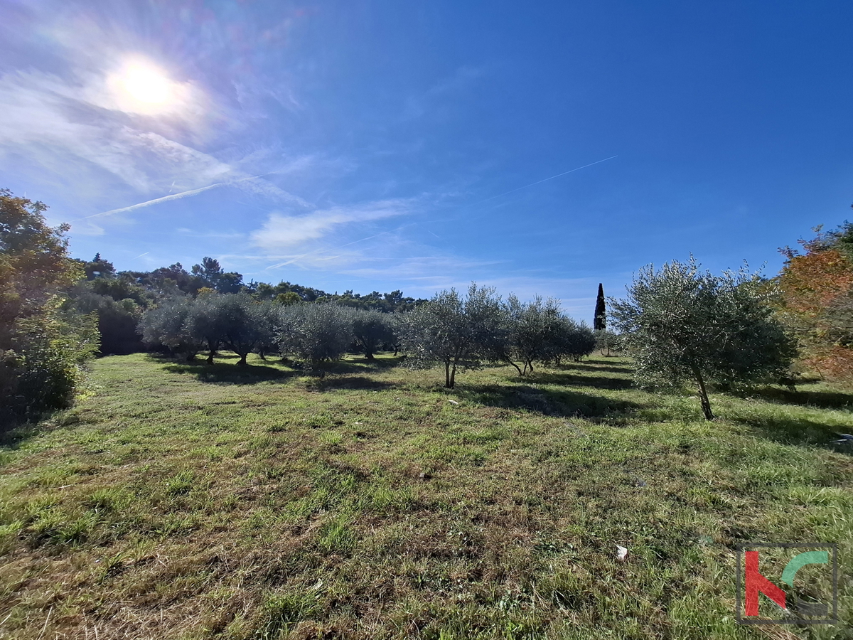 ISTRA, RAKALJ, ATRAKTIVNO GRADBENO IN KMETIJSKO ZEMLJIŠČE 2422 m2  #PRODAJA