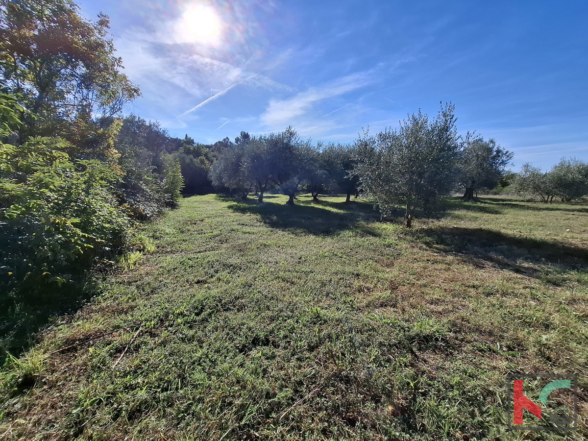 ISTRA, RAKALJ, ATRAKTIVNO GRADBENO IN KMETIJSKO ZEMLJIŠČE 2422 m2  #PRODAJA