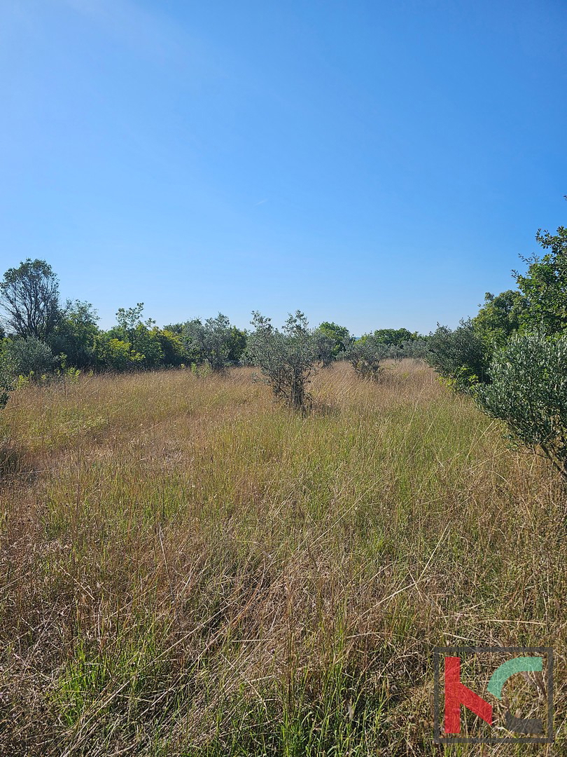 Istra, Fažana, kmetijsko zemljišče 2400m2