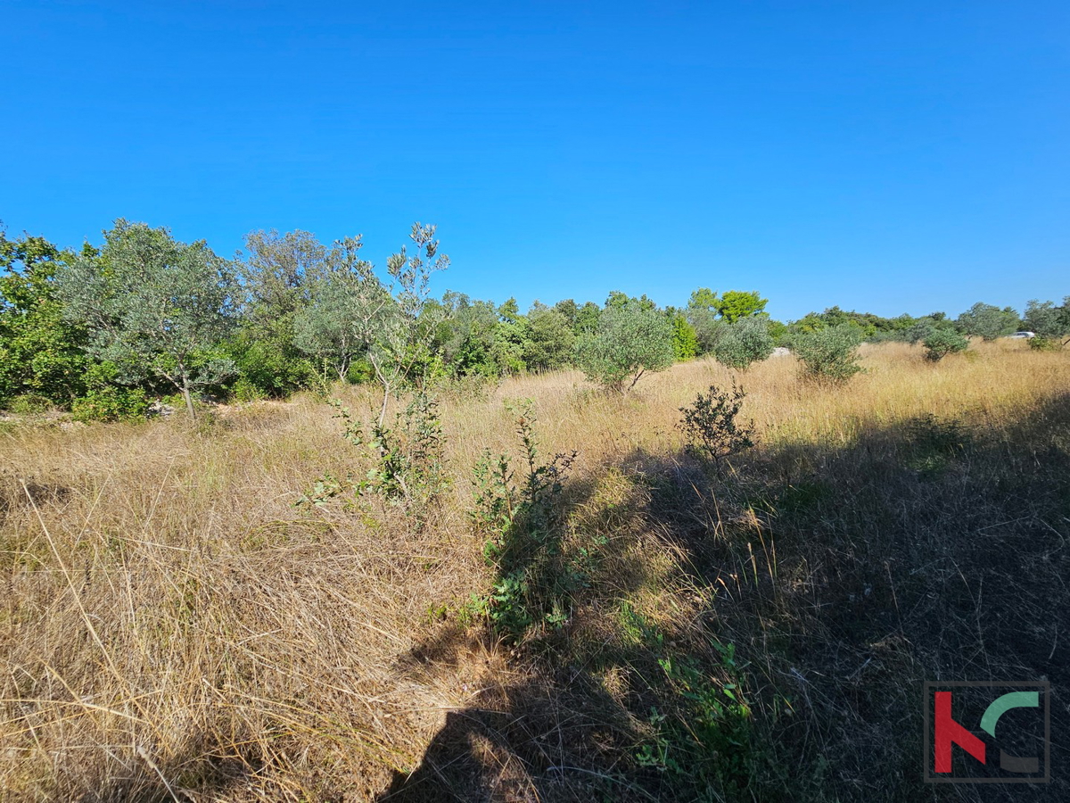 Istra, Fažana, kmetijsko zemljišče 2400m2