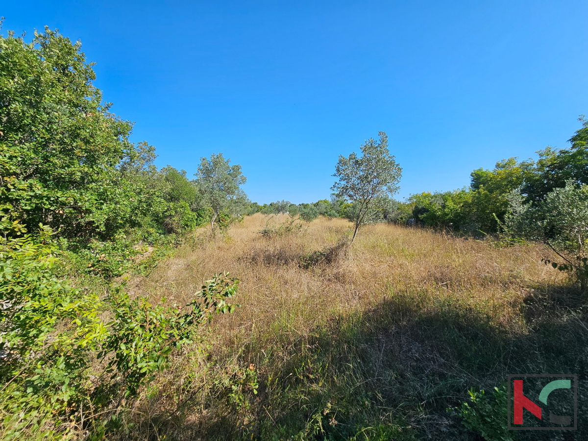 Istra, Fažana, kmetijsko zemljišče 2400m2