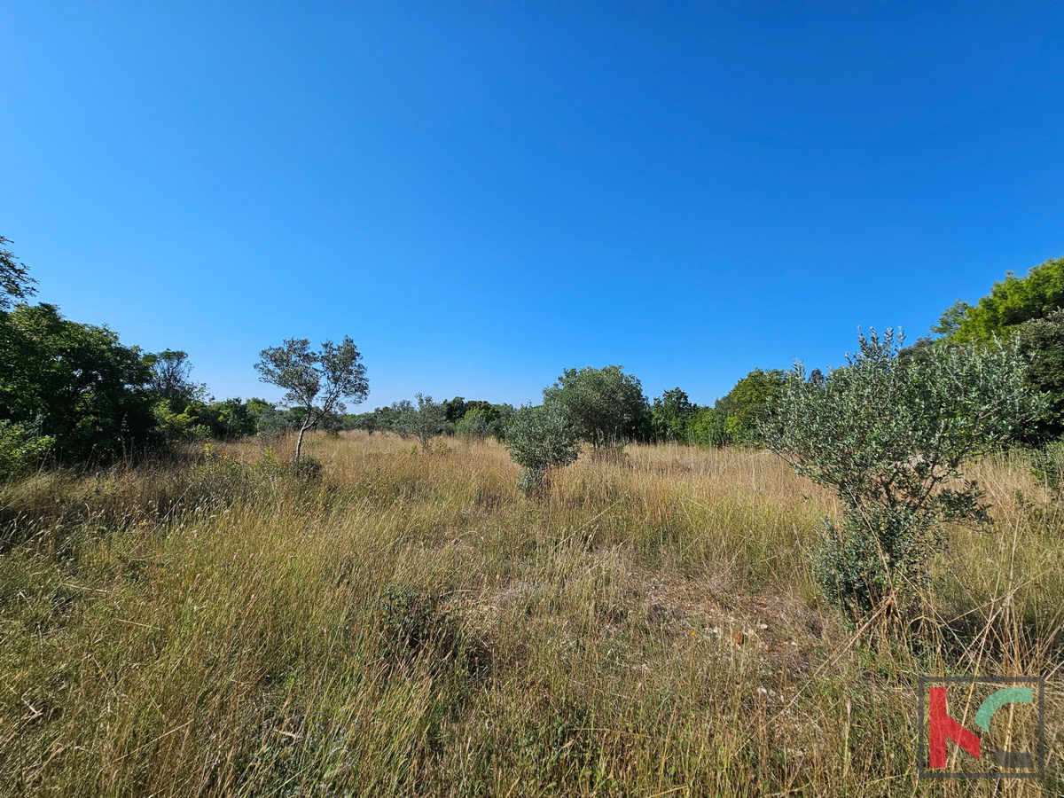 Istra, Fažana, kmetijsko zemljišče 2400m2