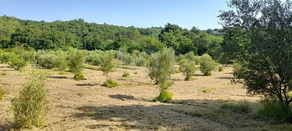 Labin - prodaja nepremičnine na samem s samostojno kamnito dediščino