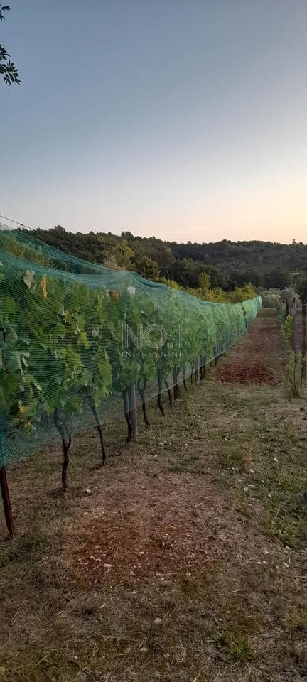 Labin - prodaja nepremičnine na samem s samostojno kamnito dediščino