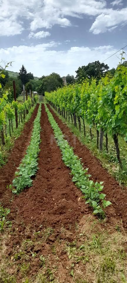 Labin - prodaja nepremičnine na samem s samostojno kamnito dediščino
