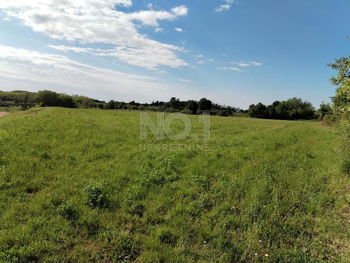 Zemljišče Kaštelir, Kaštelir-Labinci, 6.175m2