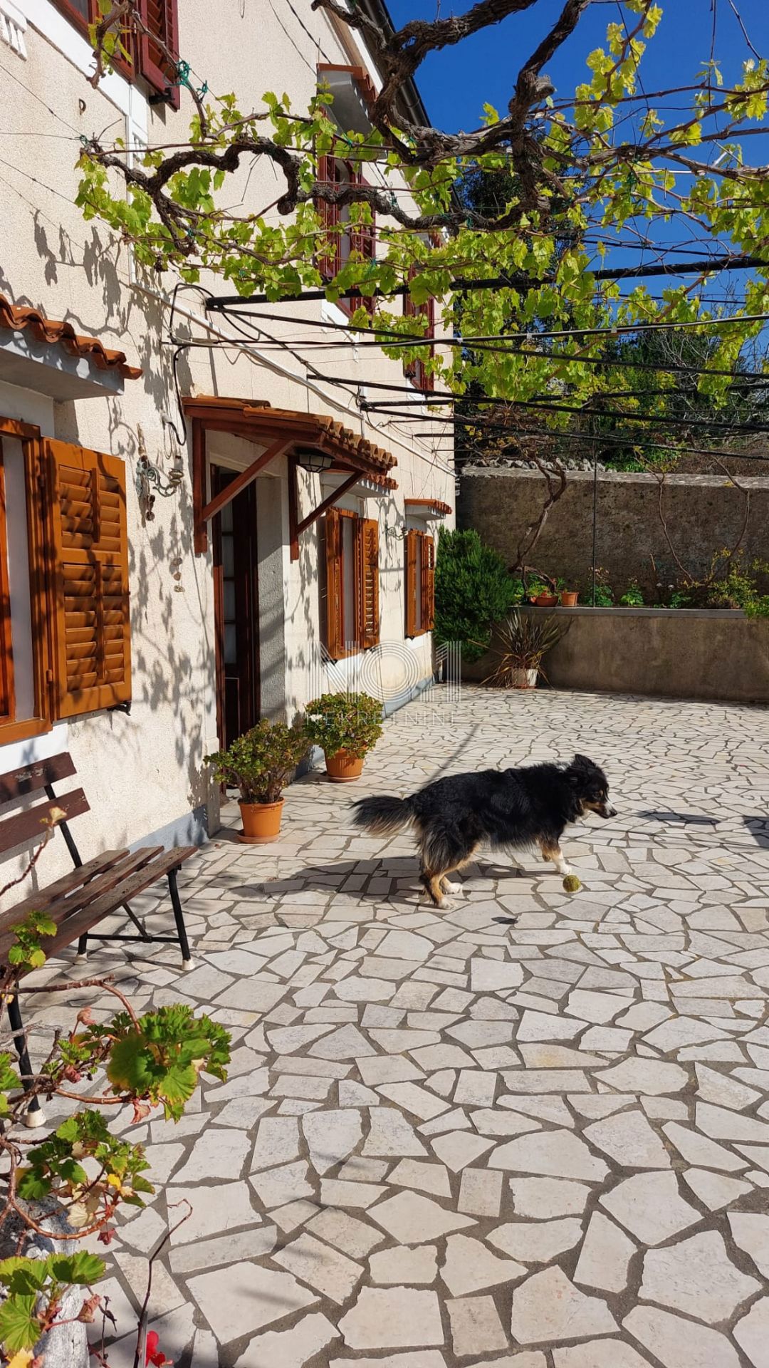 Veli Lošinj - Lepa primorska hiša