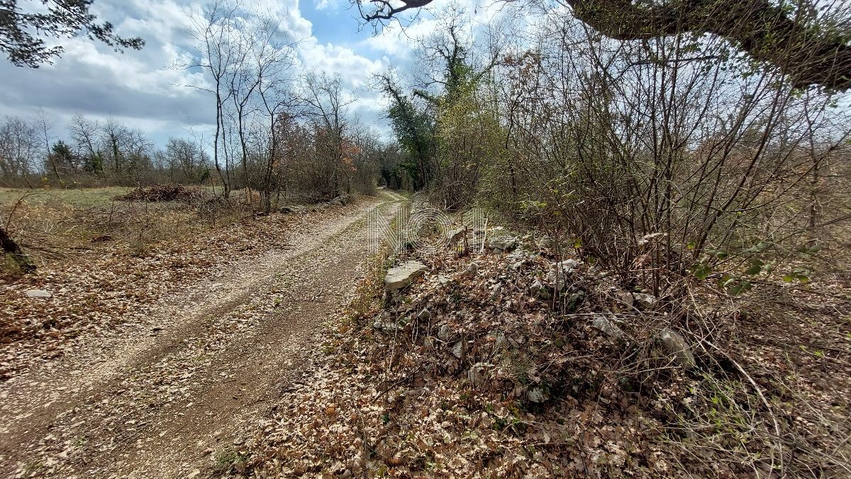 Kringa - prodaja kmetijske parcele