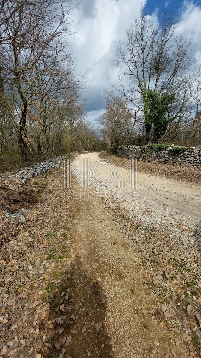 Kringa - prodaja kmetijske parcele