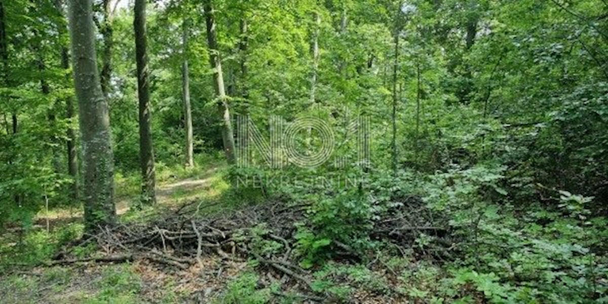 Kringa - prodaja kmetijske parcele