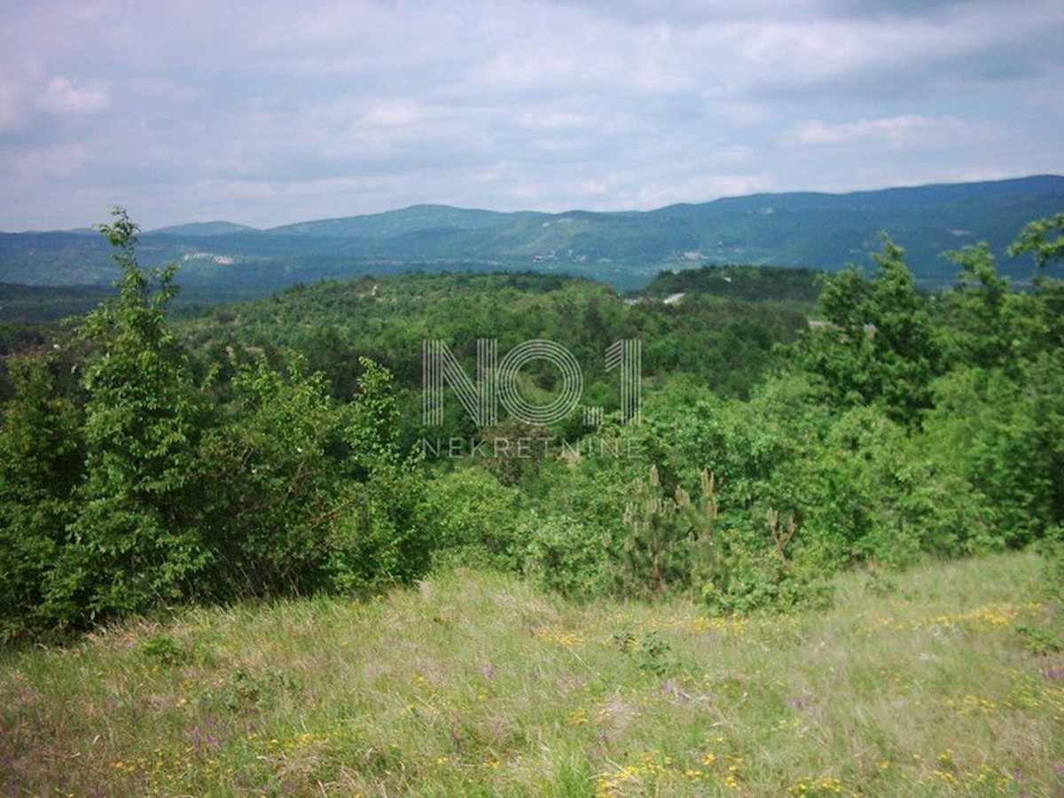 Zemljišče Lupoglav, 83.000m2