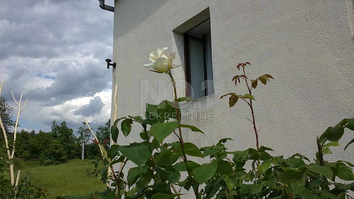 Zemljišče Lupoglav, 83.000m2