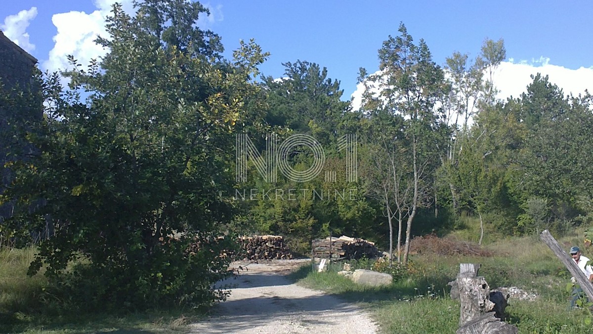 Zemljišče Lupoglav, 83.000m2