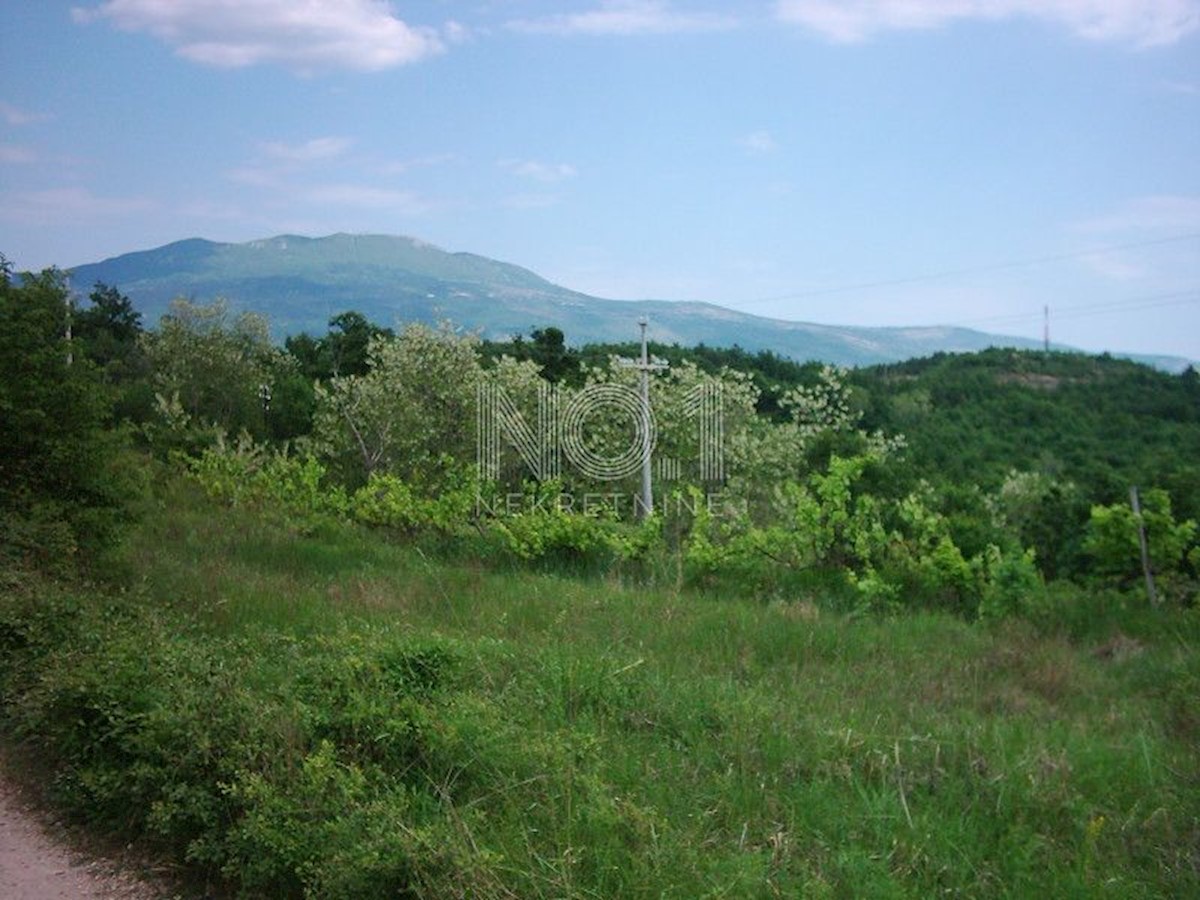 Zemljišče Lupoglav, 83.000m2