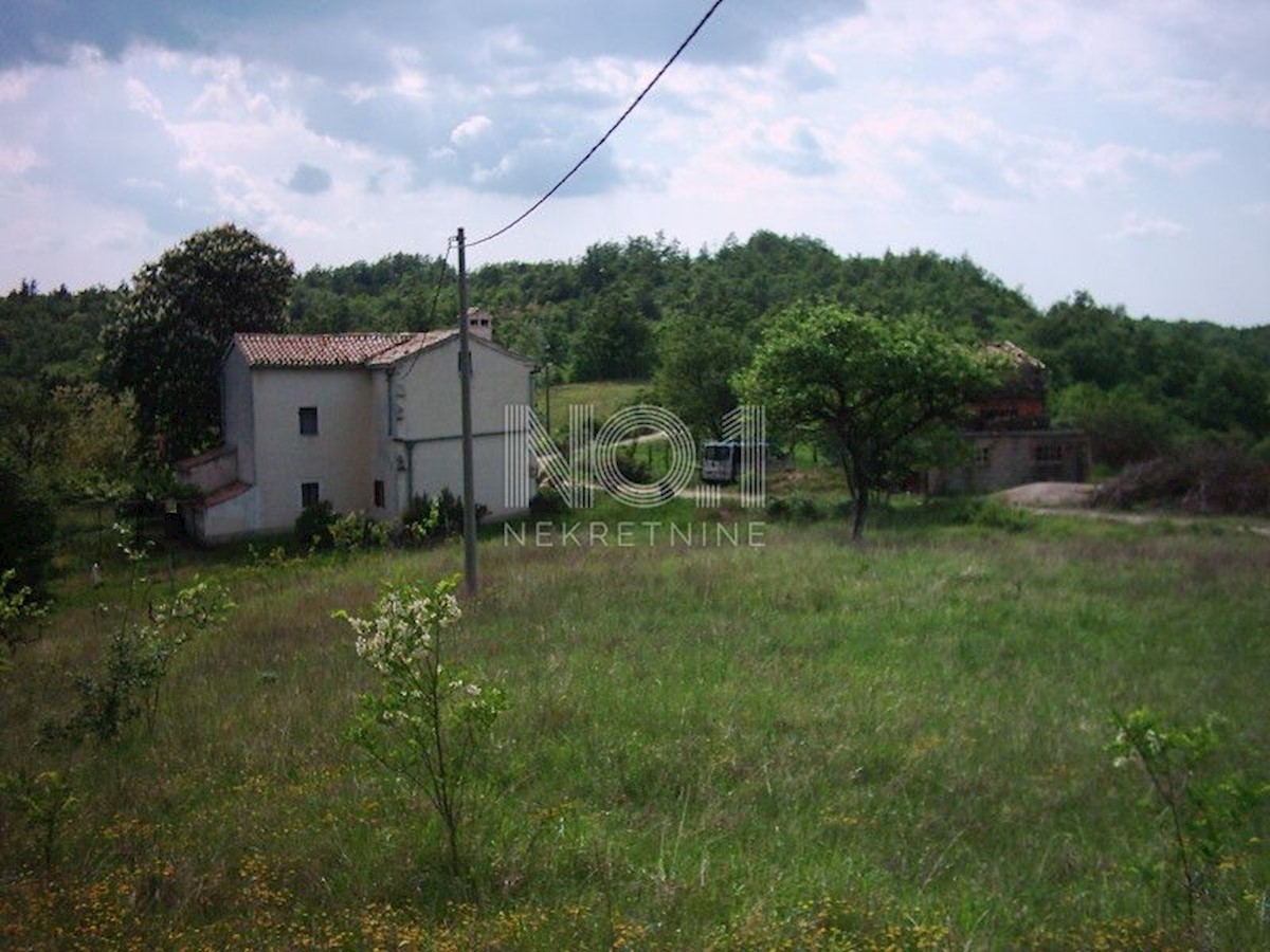 Zemljišče Lupoglav, 83.000m2