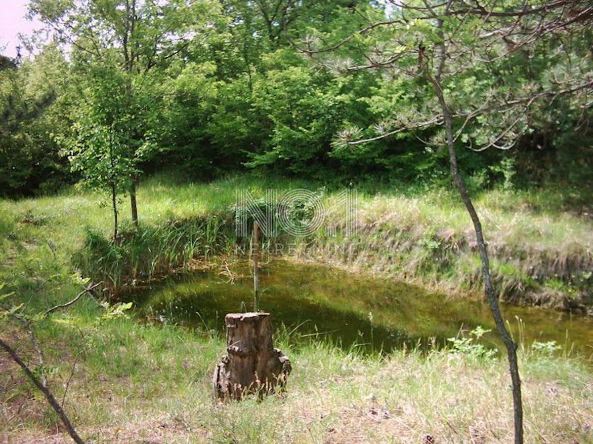 Zemljišče Lupoglav, 83.000m2